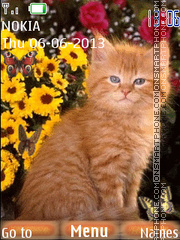 Ginger kitten es el tema de pantalla