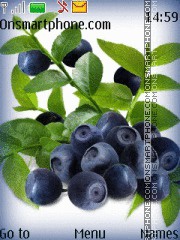 Bilberry es el tema de pantalla