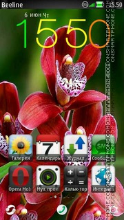 Flowers 2 theme screenshot