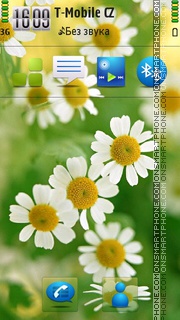 Spring Flowers 12 es el tema de pantalla