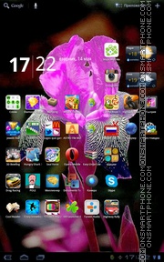 Color Flower 01 tema screenshot