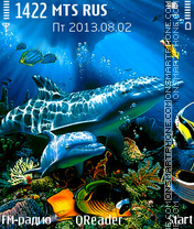 Dolphins tema screenshot