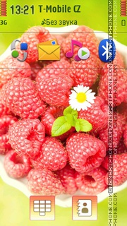 Raspberries And Daisy tema screenshot