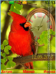 Cardinal bird theme screenshot