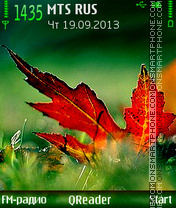 Color-Of-Fall tema screenshot