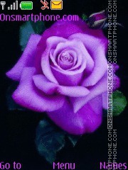 Purple Rose es el tema de pantalla