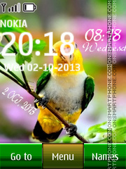 South American Bird Digital Clock es el tema de pantalla