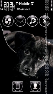 Sweet Puppy 01 theme screenshot