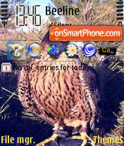 Falcons tema screenshot