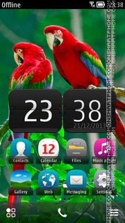 Parrots Paradise es el tema de pantalla