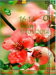Bright colors of spring tema screenshot