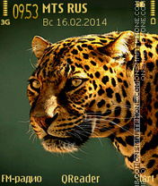 Jaguar theme screenshot