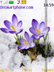 Spring flowers tema screenshot