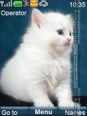 Cute Kitten tema screenshot