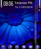 Blue flower theme screenshot