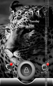 Capture d'écran Leopard thème
