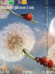 Скриншот темы Flight on dandelion