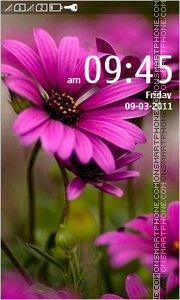 Hd Flowers 01 tema screenshot