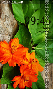 Flowers In Garden tema screenshot