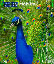 Peacock2 es el tema de pantalla