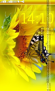 Sunflower & ButterfLy tema screenshot