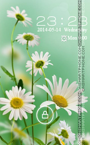 Daisies theme screenshot