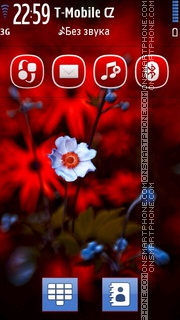 Red Gerbera Flowers tema screenshot