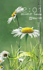 Daisies Theme-Screenshot