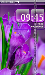 Purple Flowers 05 tema screenshot