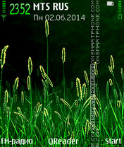 Capture d'écran Grass thème