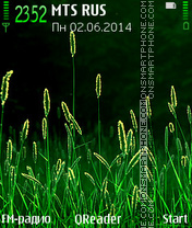 Grass es el tema de pantalla