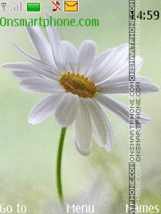 Camomile theme screenshot