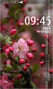 Spring Flowers 14 tema screenshot
