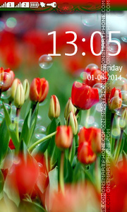 Tulips and Bubbles theme screenshot