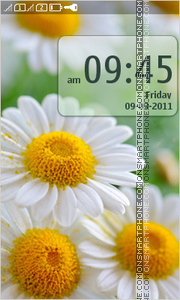 Daisies Flowers Theme-Screenshot