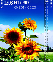 Sunflower es el tema de pantalla