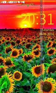 Sunflower es el tema de pantalla