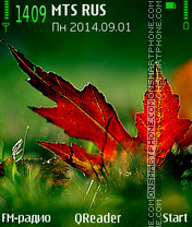 Color Of Fall tema screenshot