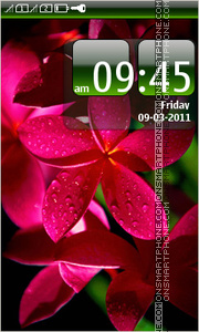 Red Tropical Flower tema screenshot