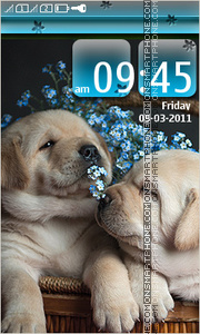 Cute Puppies 04 theme screenshot