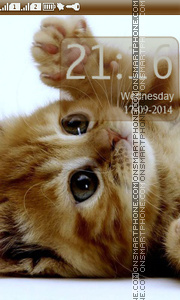 Cute Kitten es el tema de pantalla