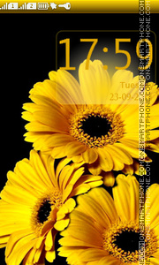 Скриншот темы Yellow Gerberas