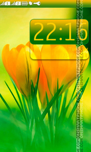 Yellow Crocus es el tema de pantalla