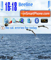Sea Life 01 theme screenshot