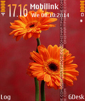 Orange flowers tema screenshot