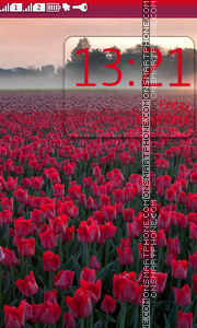 Red Tulip Field tema screenshot