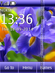 Flowers Irises tema screenshot