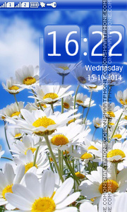 Field of Daisies tema screenshot