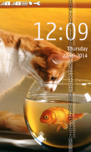 Cat Looking at Fish theme screenshot