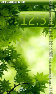 Green Maple Leaves tema screenshot